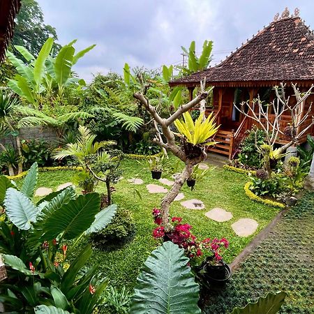 Jane'S House & Spa Bedugul Bali Patjung Kültér fotó